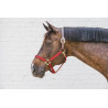 Nylon Halfter Breakaway Kentucky - Bordeaux