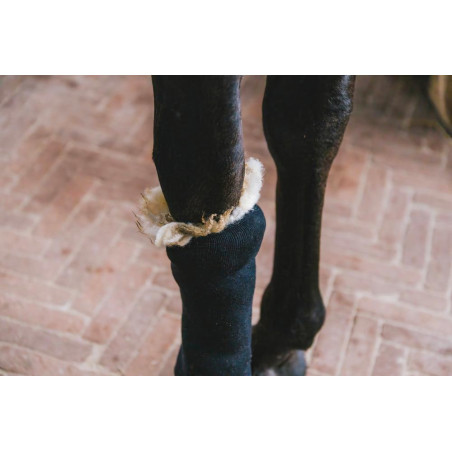 Therapiewolle 150g Grooming Deluxe by Kentucky