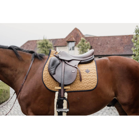 Satteldecke Kentucky Softshell Jumping