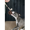 Hundespielzeug Baumwollseil Baseball Kentucky - Braun