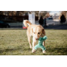 Hundespielzeug Pastel Bone Kentucky - Smaragd
