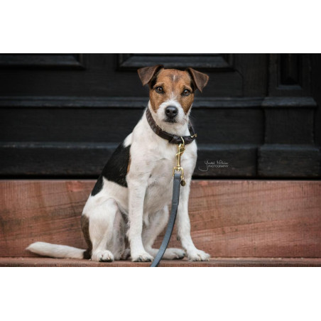 Hundeleine Loop Kentucky