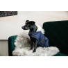 Hundemantel Pearls Kentucky - Marine