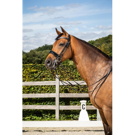 Trense Dy'on Reithalfter Large Vernie Dressurkollektion Rundleder