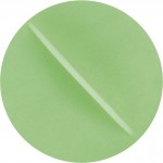 Finnisches Striegel Crazy