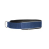 Halsband für Hunde Charlie Back on Track - Blau
