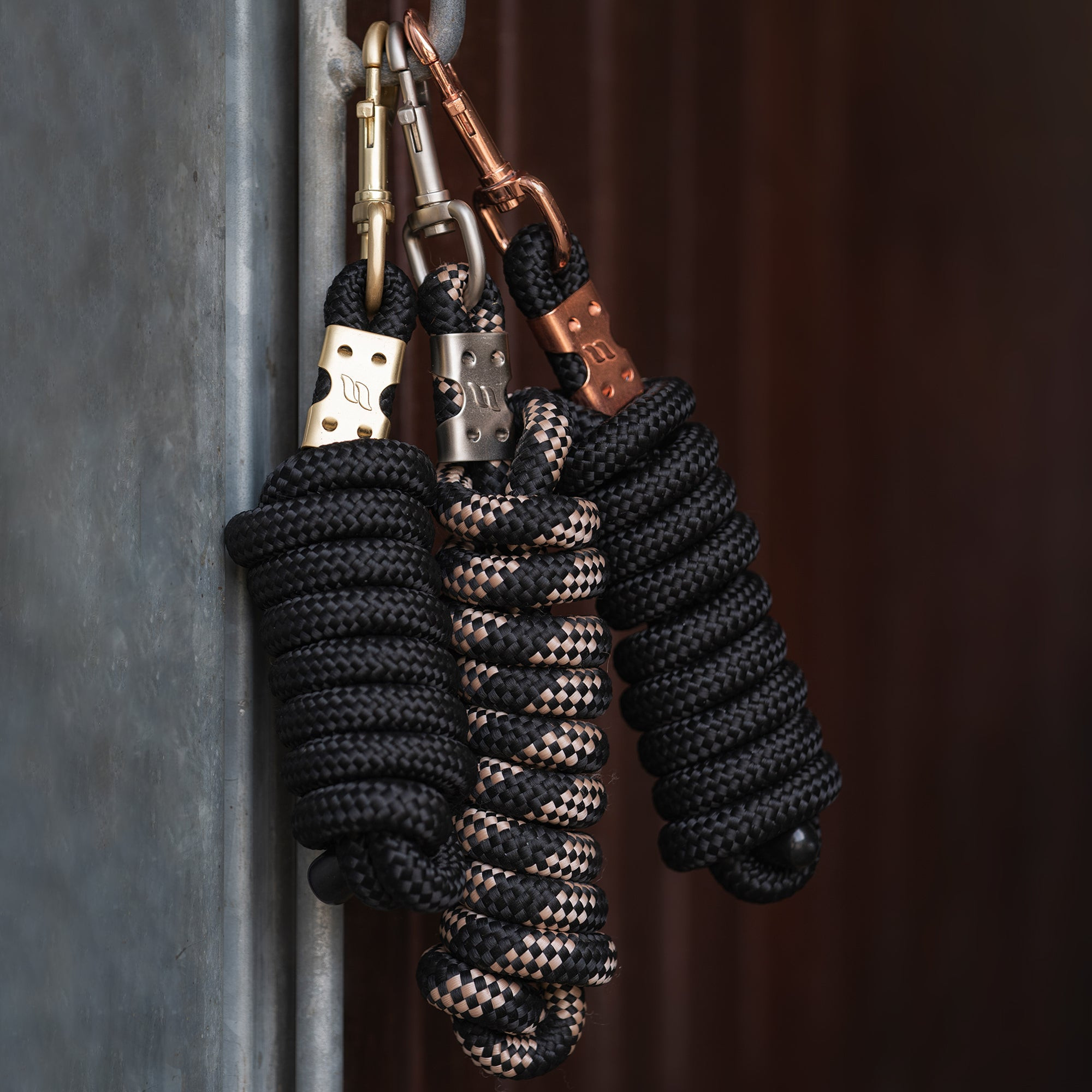 Longierleine Back on Track Ace Schwarz / Gold