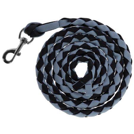 Amerikanische Longe Covalliero