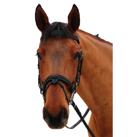 Kandare Canter Mylord