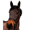 Bridon Canter Club - Braun