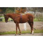 Norton Flaschenzugsystem