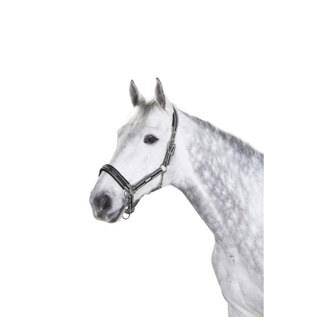 Eskadron Halfter Schnalle