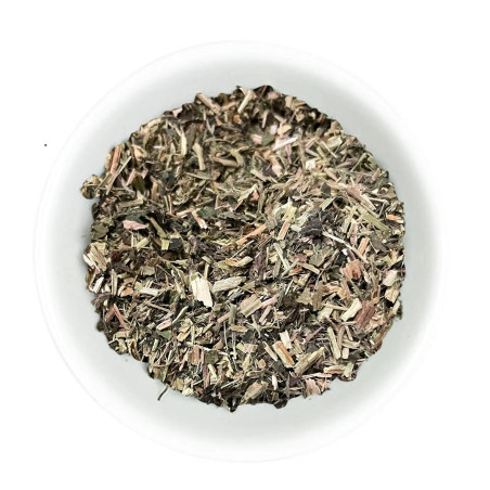 Brennnessel Pflanze Hilton Herbs