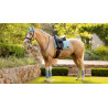 LeMieux Loire Classic Dressur Schabracke - Aqua