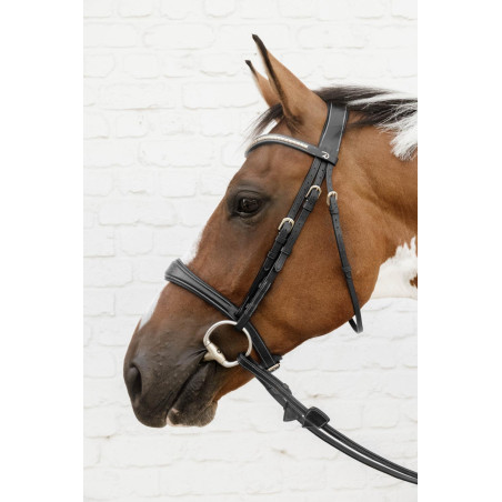 Anatomisches Reithalfter ohne Kehlriemen D Collection Dy'on