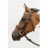 Anatomisches Reithalfter ohne Kehlriemen D Collection Dy'on - Braun