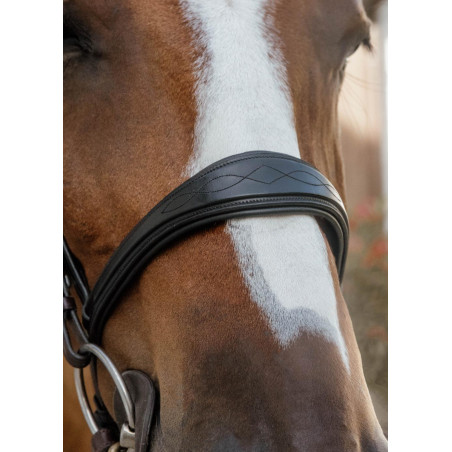 Anatomisches Reithalfter ohne Kehlriemen New English Collection Dy'on