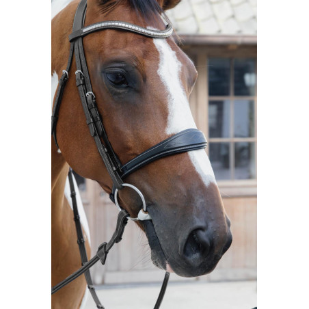 Anatomisches Reithalfter ohne Kehlriemen Kollektion US Jumping Dy'on