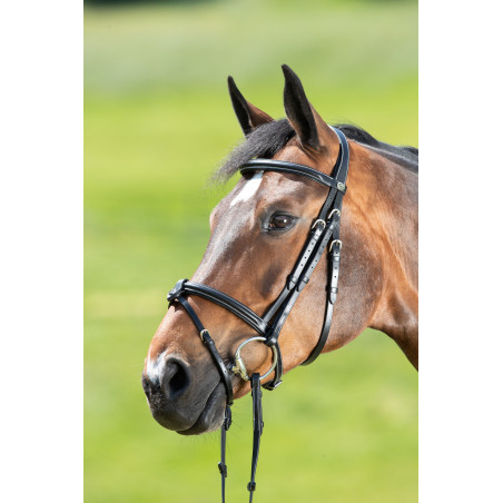 Anatomisches HFI-Zaumzeug