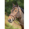Anatomisches HFI-Zaumzeug - Braun