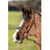 Anatomisches HFI-Zaumzeug - Braun / Cognac