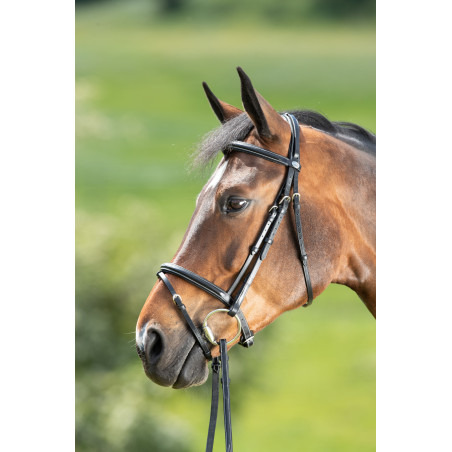 Trensenzaum Comfort HFI