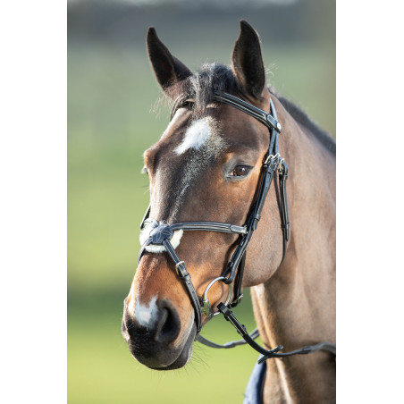 Mexikanisches HFI-Zaumzeug