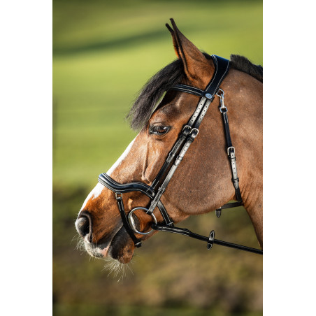 Trensenzaum Techno HFI