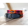 HFI Polo-Hundehalsband - Schwarz / Orange / Rosa