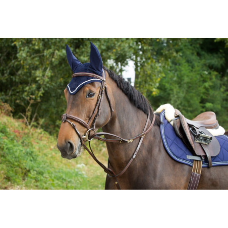 Thiedeman-Zügel HFI