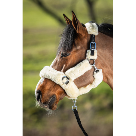 Halfter Cosy synthetisches Lammfell HFI