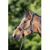 Grooming-Halfter HFI - Schwarz