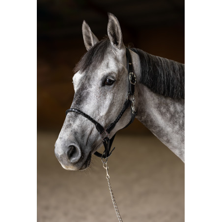 Geflochtener Halfter HFI