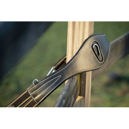 Anatomischer Gurt HFI Evo