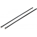 Spornriemen Riding World Cristal