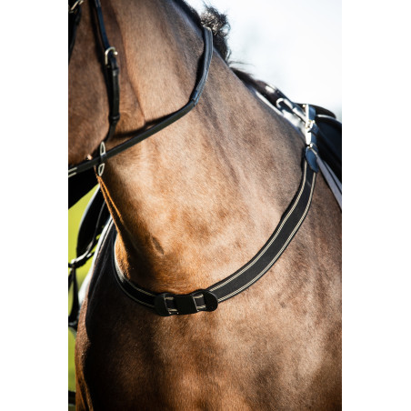 Einfaches elastisches HFI Master Martingal