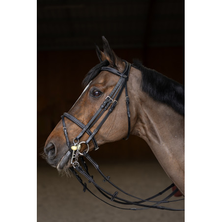 Jumping-Trense HFI Master Double Jump