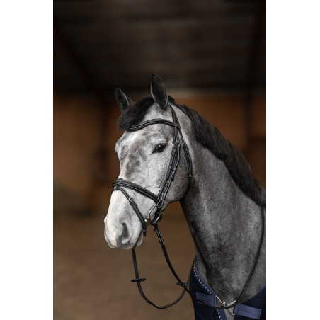 Kombiniertes Reithalfter Flex HFI Master