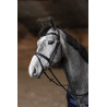 Kombiniertes Trensenzaum Painted HFI Master - Schwarz