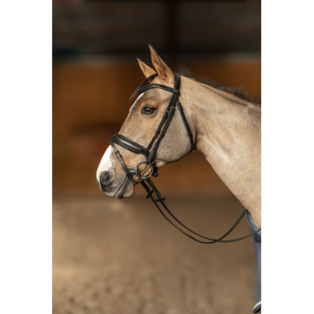 Bridon HFI Master Pull-Back Edges