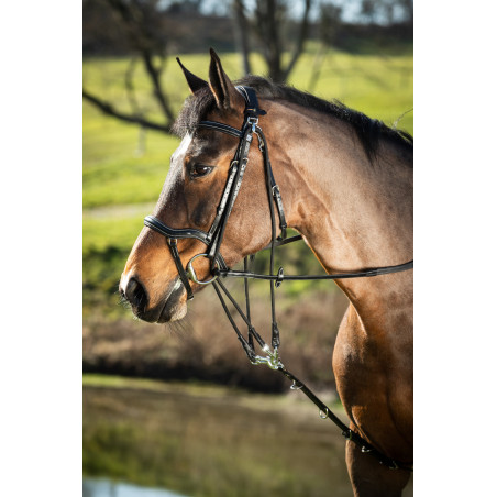 HFI Master Leder-Fortzeug