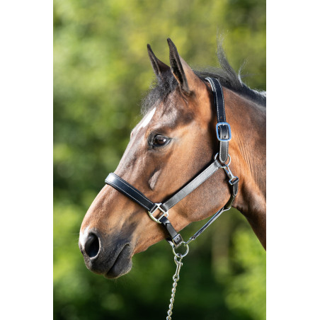 HFI Master Lederhalfter mit doppelter Verstellmöglichkeit