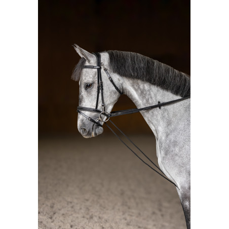 Deutsche Zügel HFI Master Leder Seil