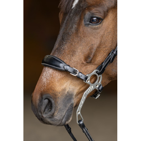 Set Nasenriemen Kinnkette Hackamore HFI Master