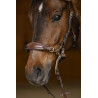 Set Nasenriemen Kinnkette Hackamore HFI Master - Braun