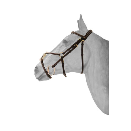 Bridon Fancy HFI mexikanisches Reithalfter