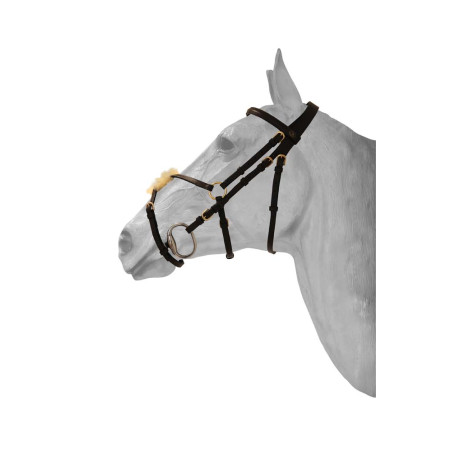 HFI mexikanisches Nasenband