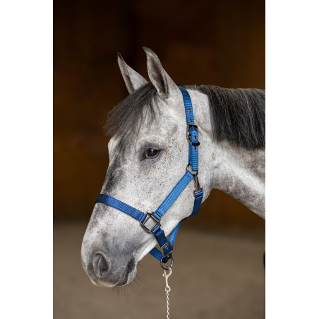 Nylonhalfter HFI Master