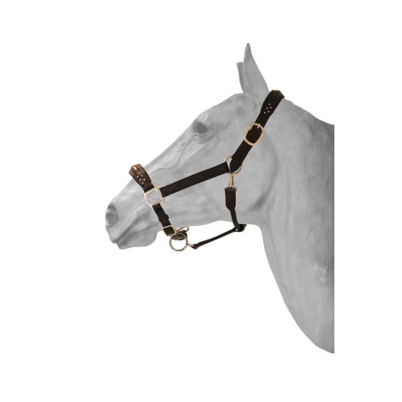 Lederhalfter + Diamond HFI