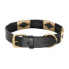 HV Polo Chaya Hundehalsband - Schwarz / Gold